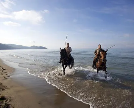Fattoria Il Duchesco *