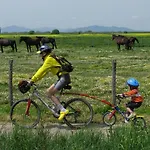 Фермерский дом Fattoria Il Duchesco