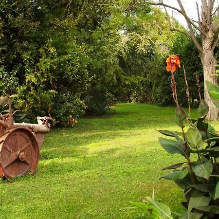 Gospodarstwo agroturystyczne Fattoria Il Duchesco Alberese