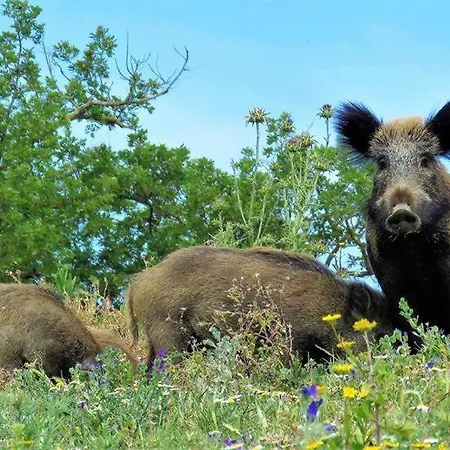 Farm stay Fattoria Il Duchesco