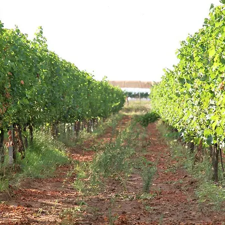 Fattoria Il Duchesco Farm stay *