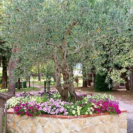 Gospodarstwo agroturystyczne Fattoria Il Duchesco