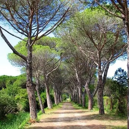 Farm stay Fattoria Il Duchesco *
