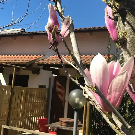 Farm stay Fattoria Il Duchesco Alberese